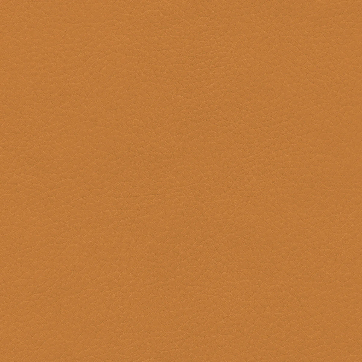 Concept Pro - Image 47