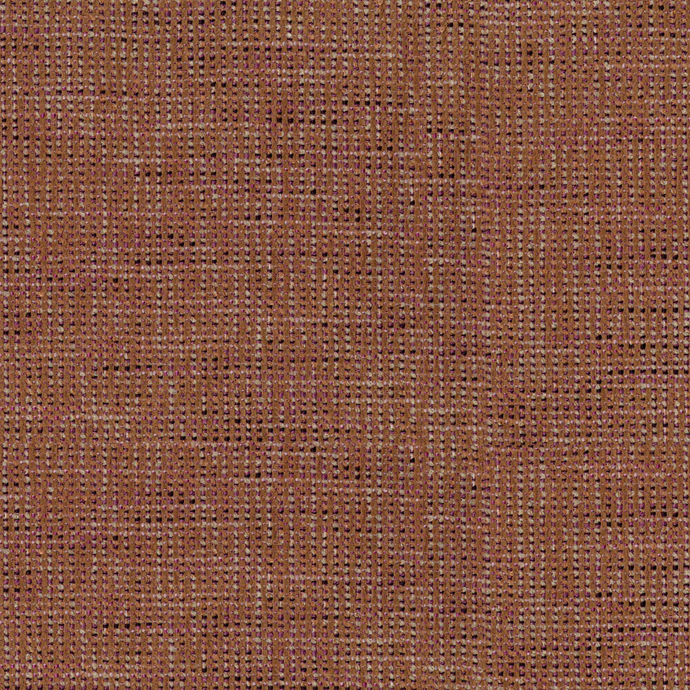 Costa - Image 3