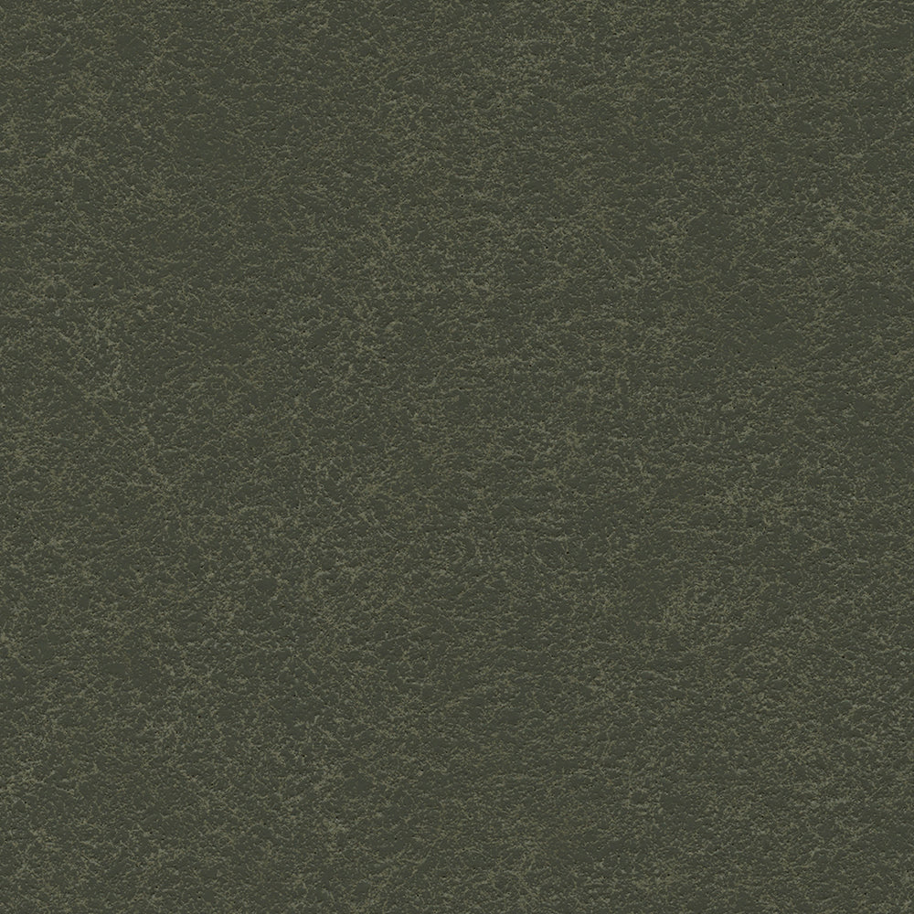 Ellora - Image 11