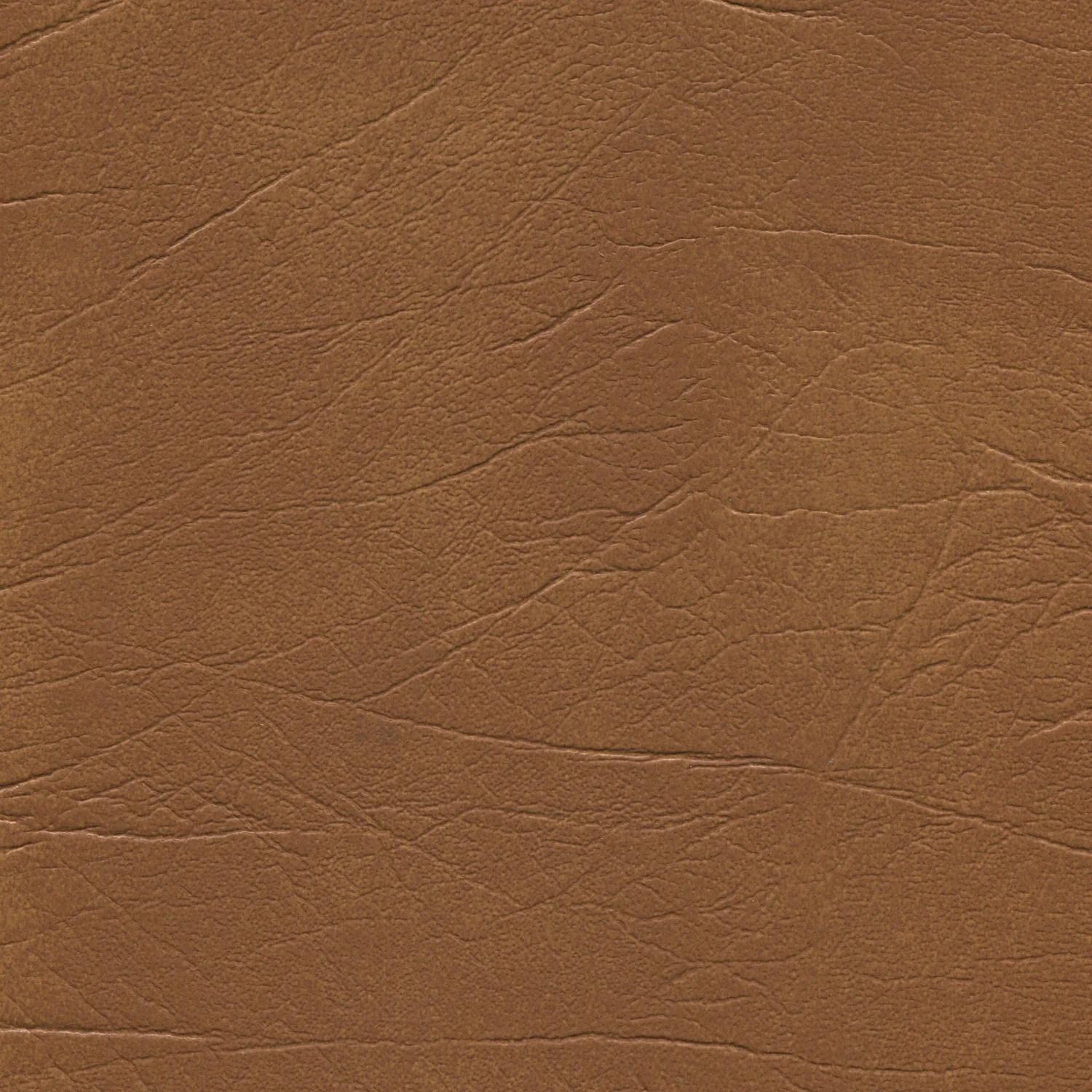 Enduratex Oxen - Image 10