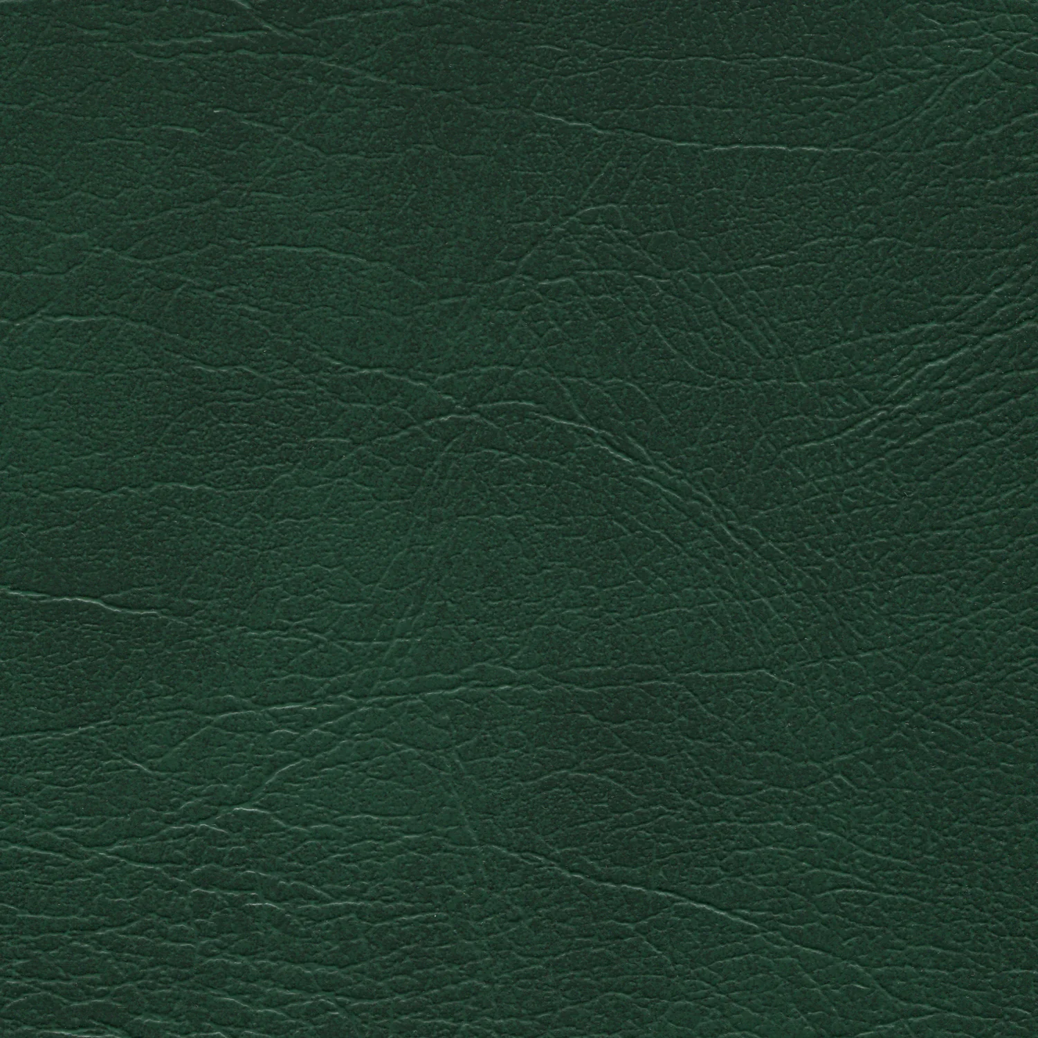 Enduratex Oxen - Image 5