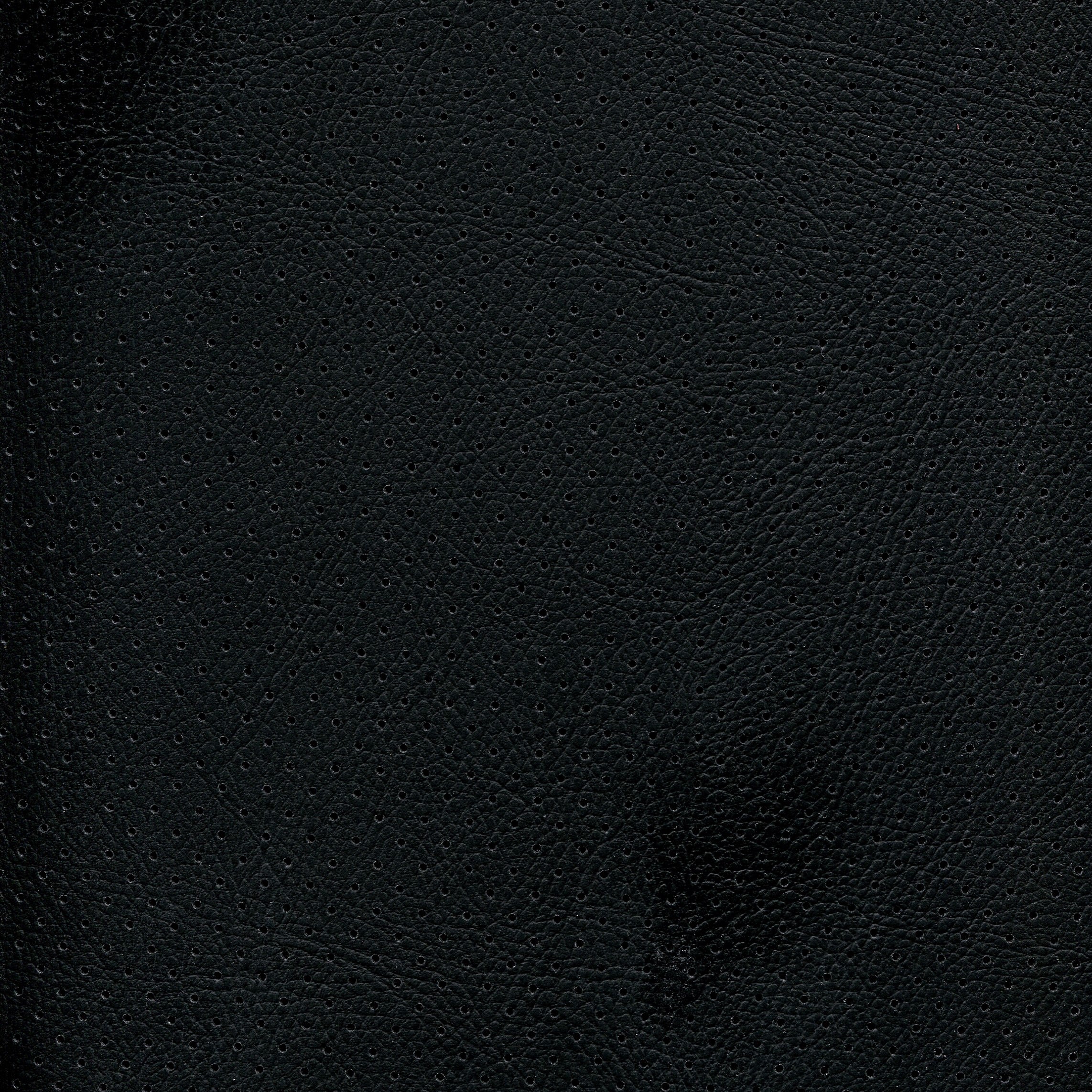 Enduratex Phantom - Image 2
