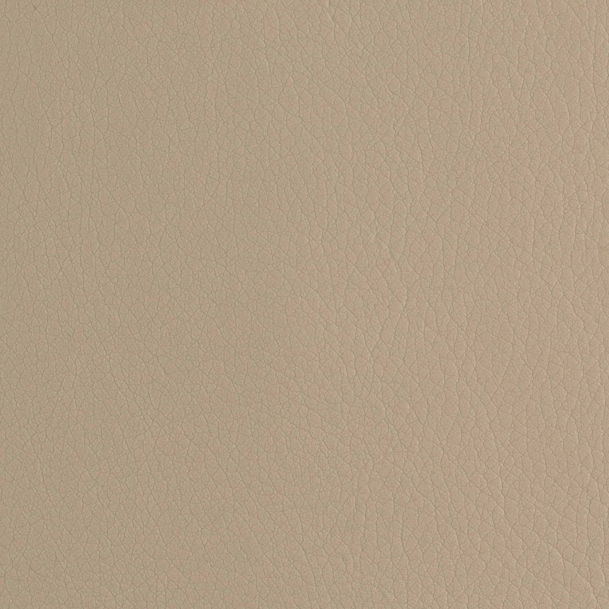 Envision - Image 3