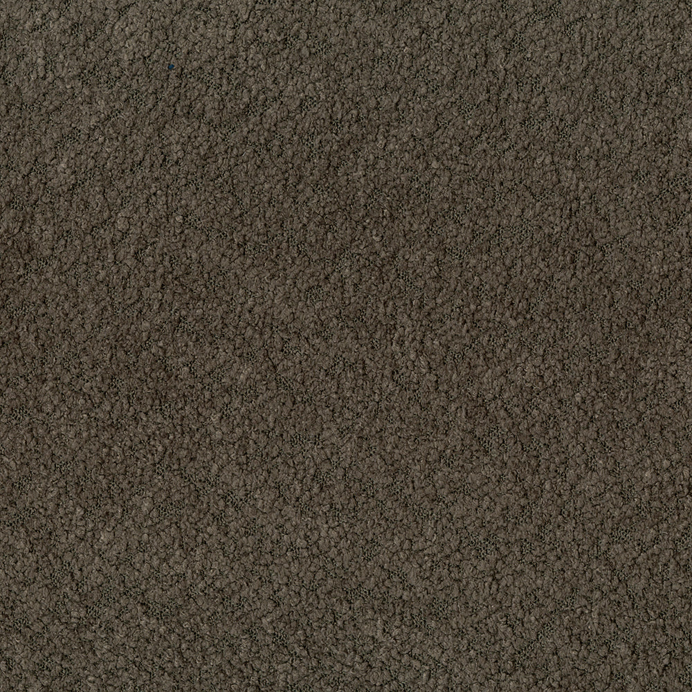 Felicity - Image 11