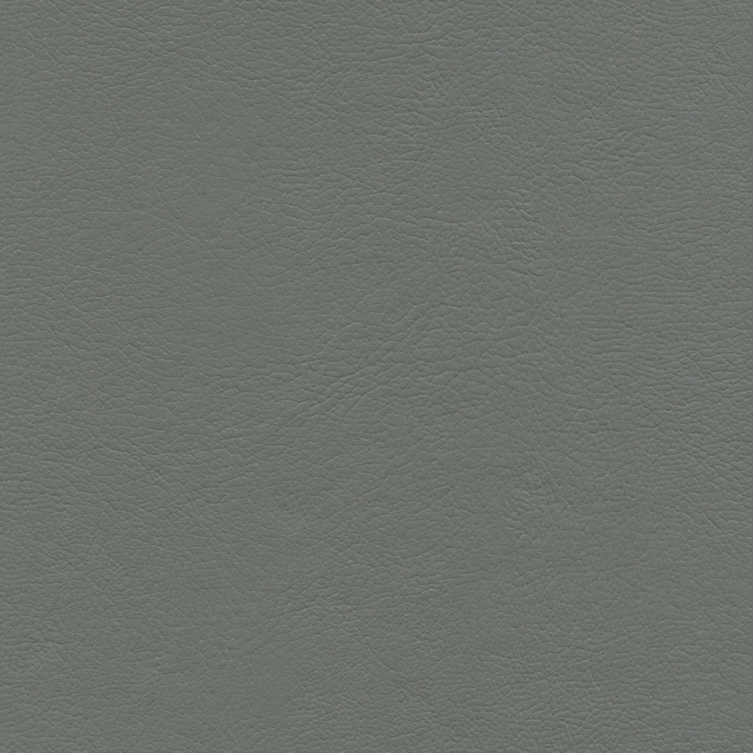 G-Grain - Image 8