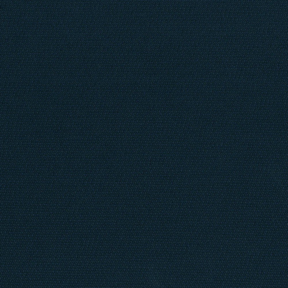 Holly - Image 3