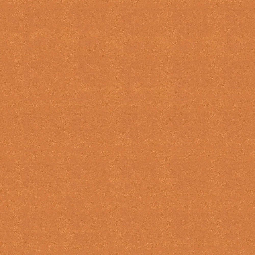 Jet Stream - Image 14