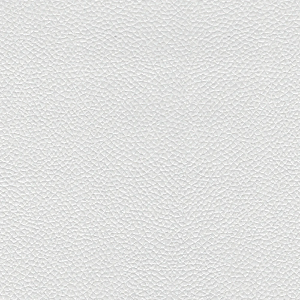 Leon Sample - Image 6