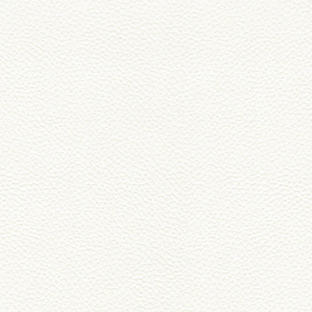 Leon Sample - Image 7