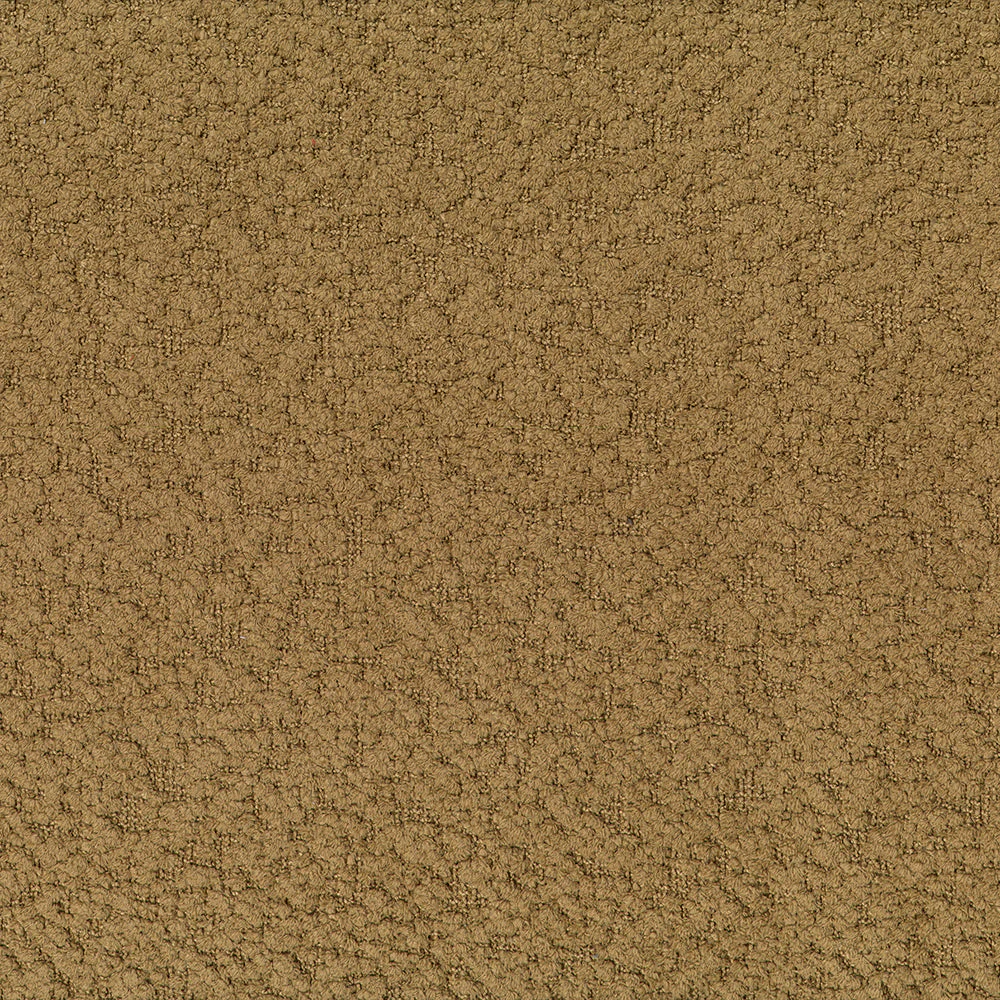 Lily - Image 15