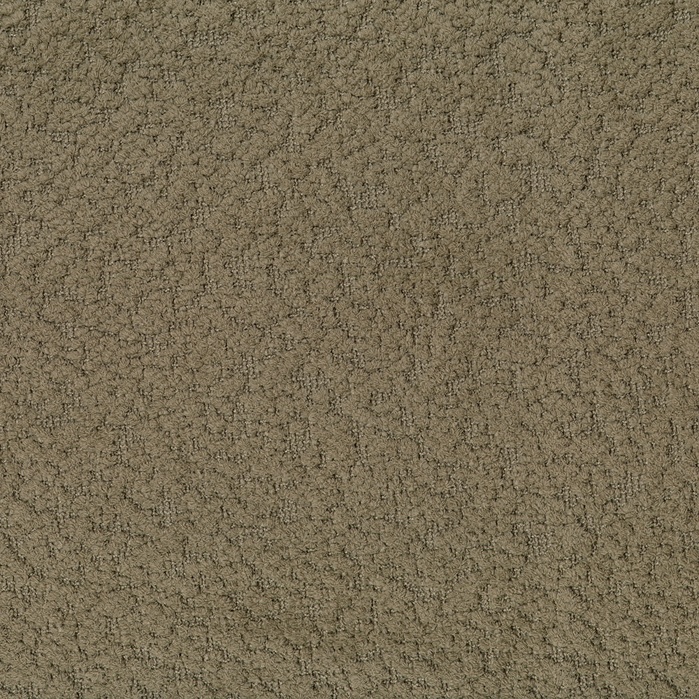 Lily - Image 9