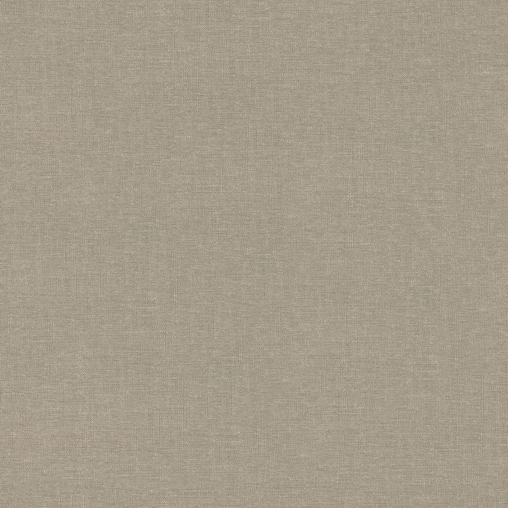 Linum - Image 37