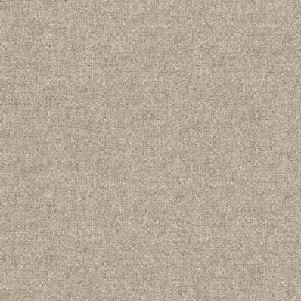 Linum - Image 4