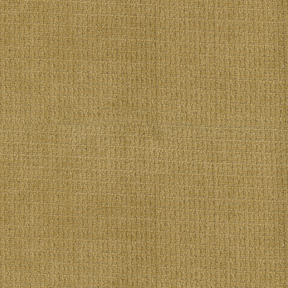 Lorenzo - Image 15
