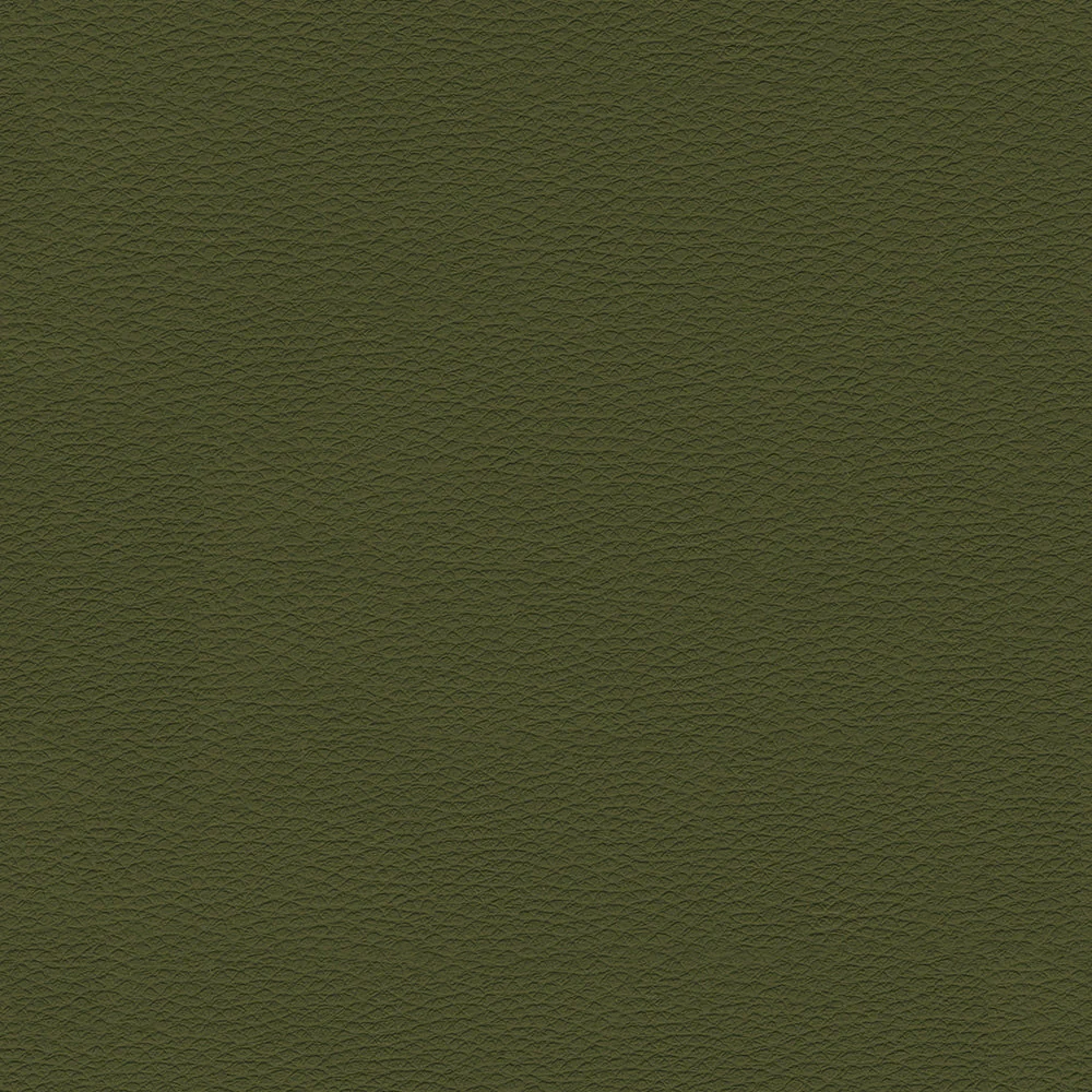 Manifest - Image 9