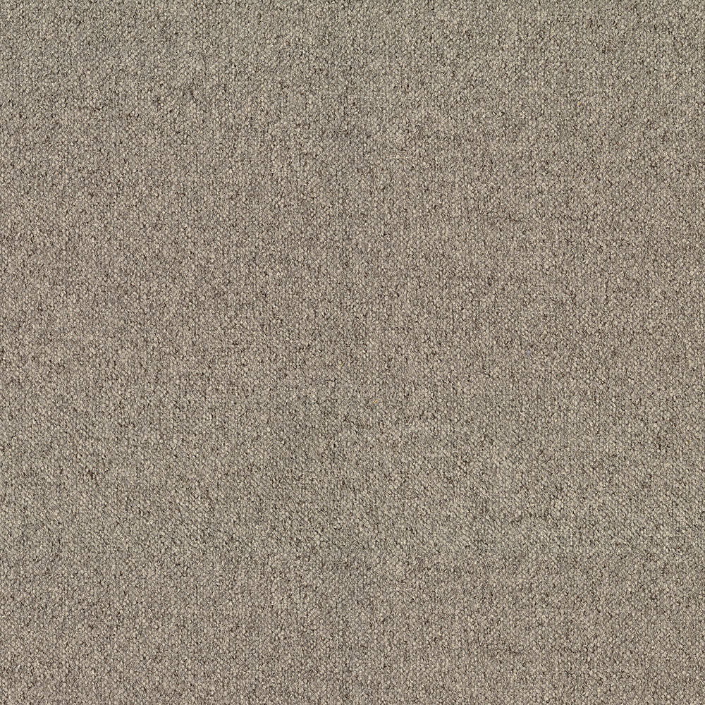 Oasis - Image 11