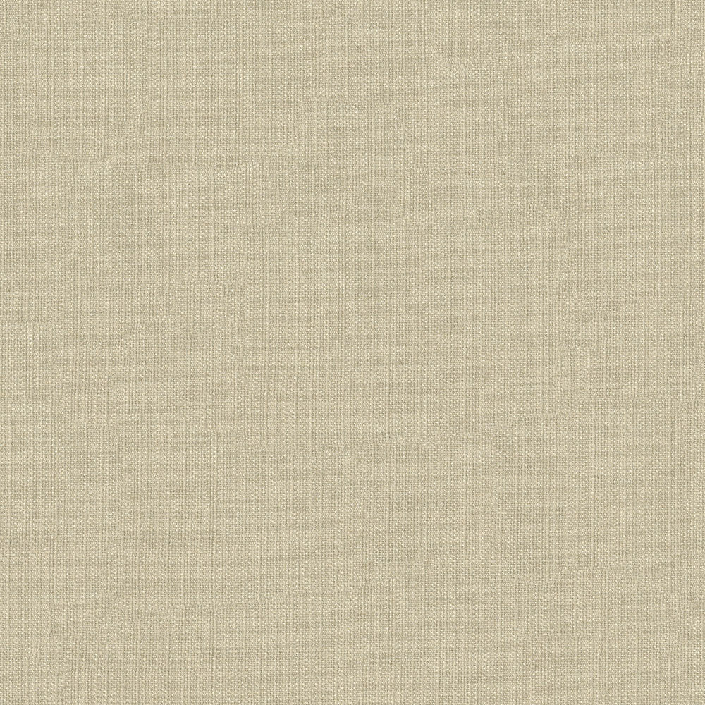 Pace - Image 5