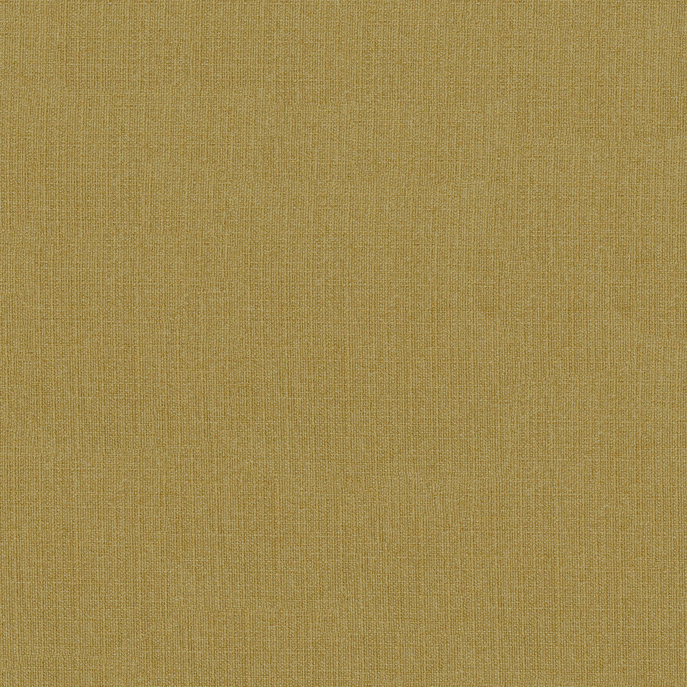 Pace - Image 7