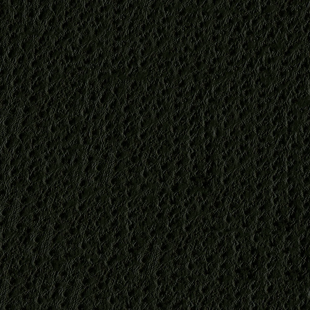 Phoenix - Image 13
