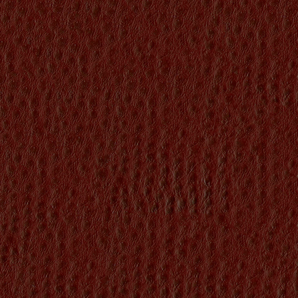 Phoenix - Image 5