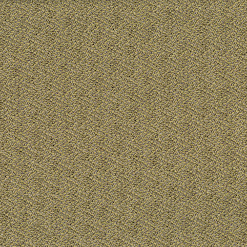 Prairie - Image 7