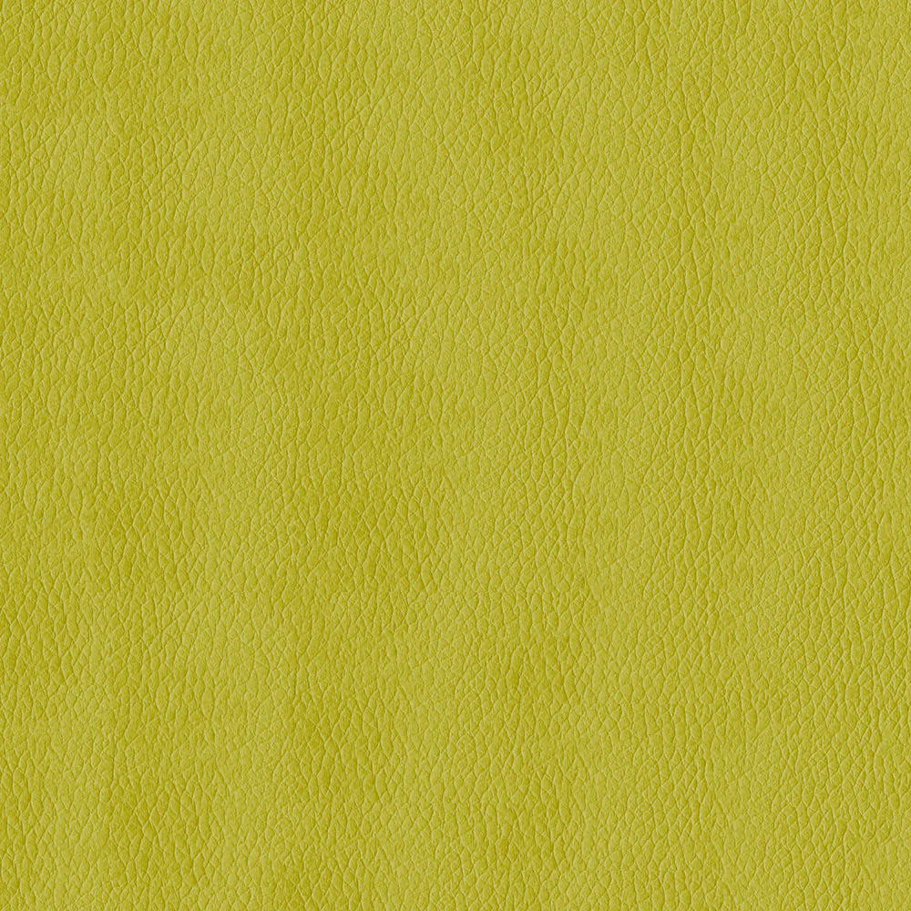 Premier - Image 5