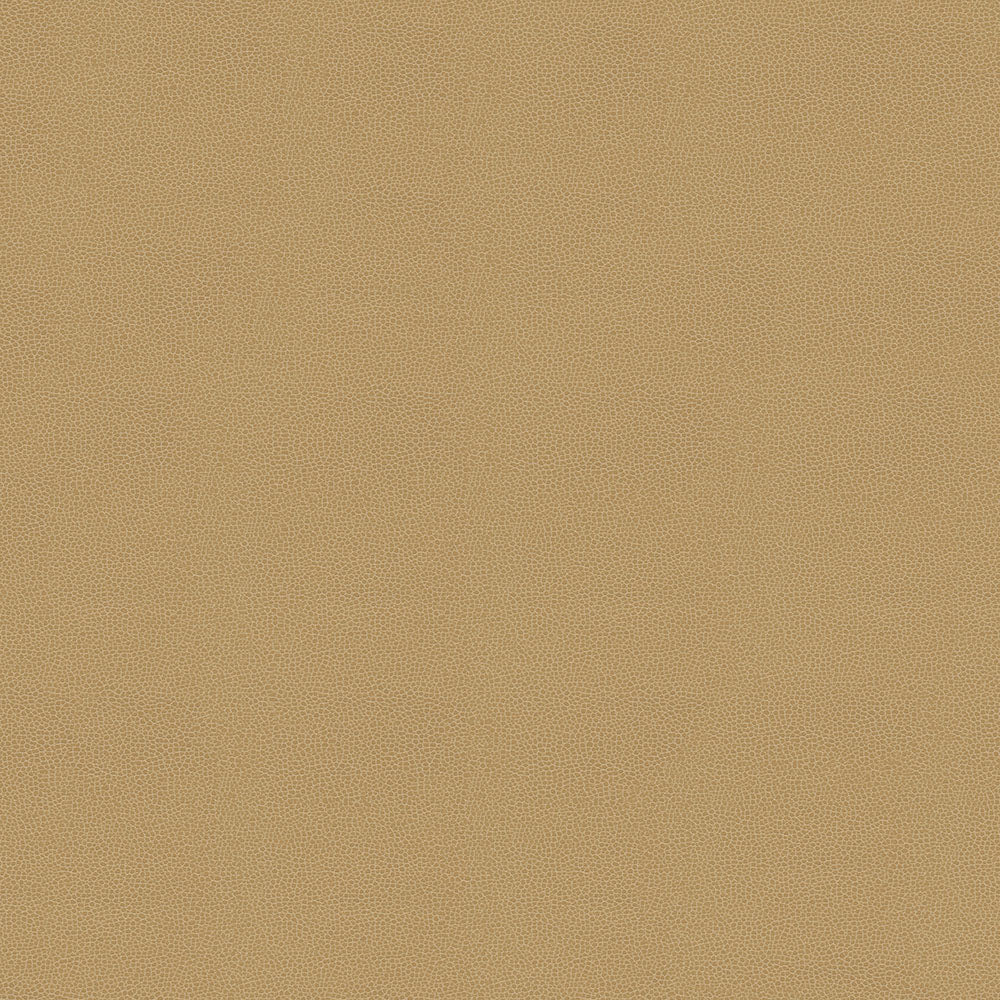 Promessa - Image 41