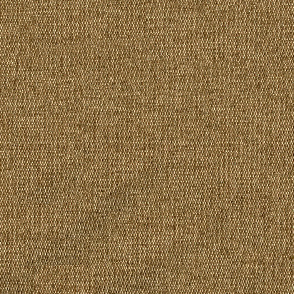 Remy - Image 13