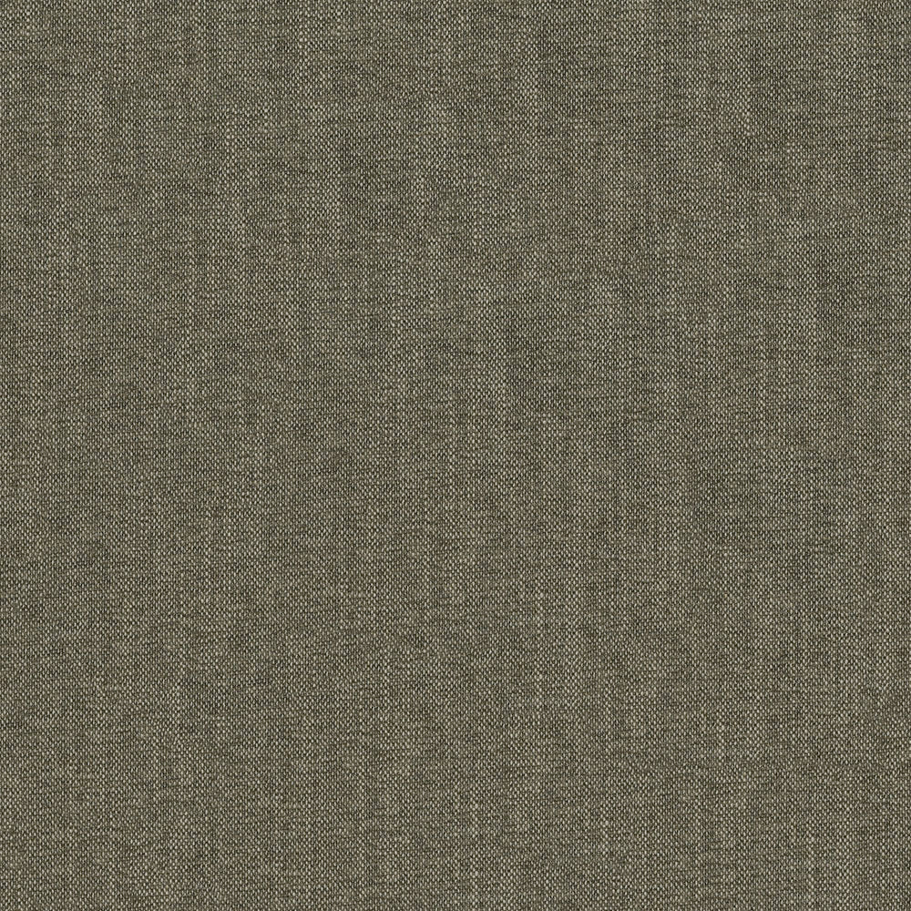 Remy - Image 19