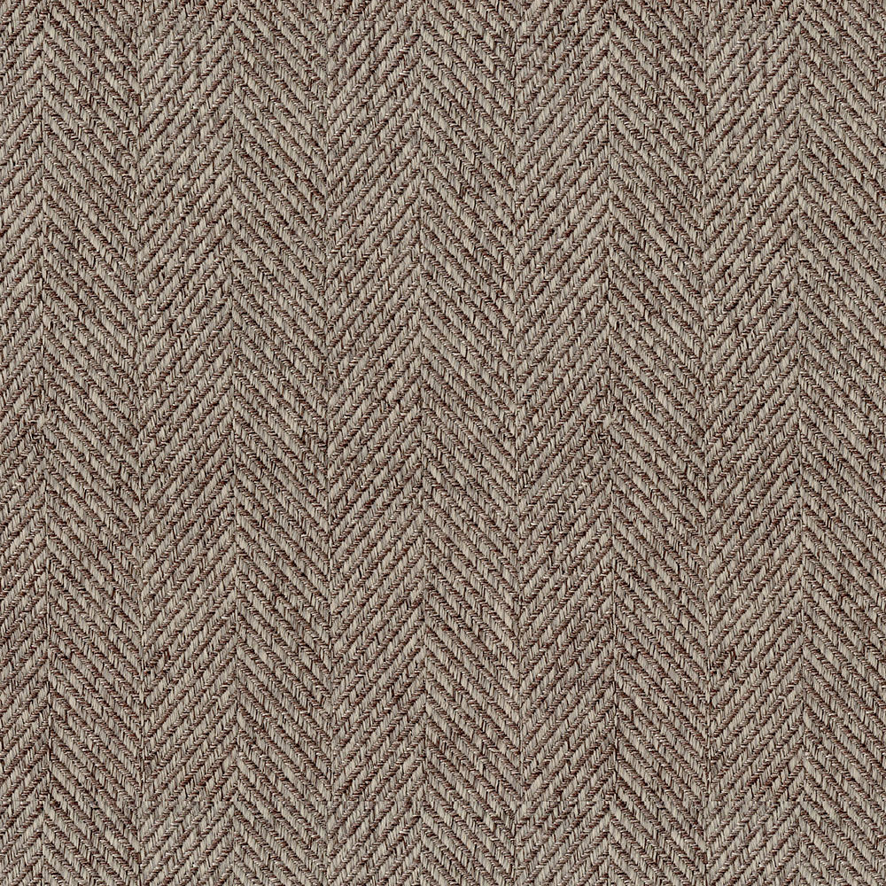 Revolution - Image 10