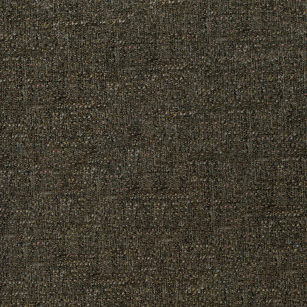 Scoop - Image 11