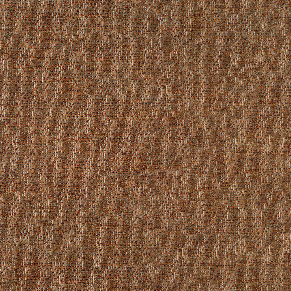 Scoop - Image 5