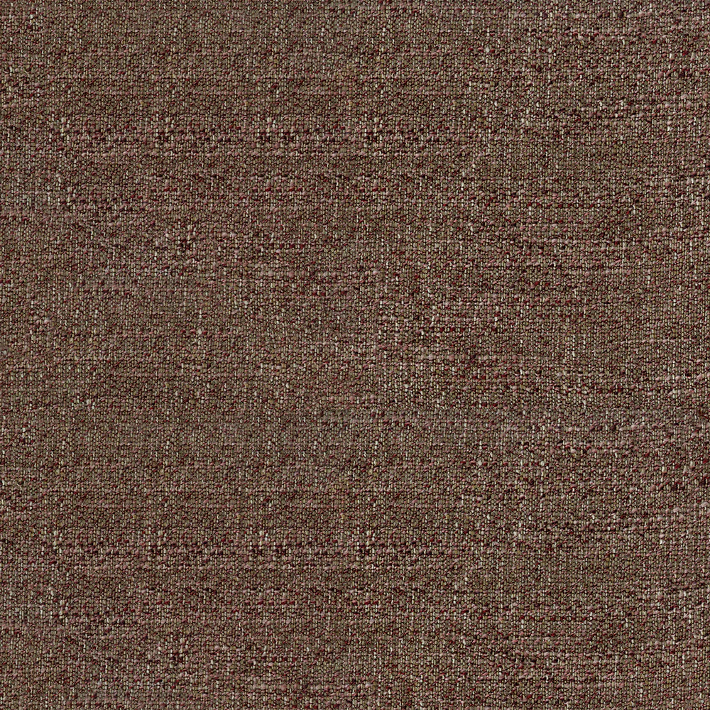 Scoop - Image 9