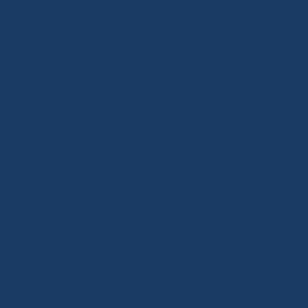 Sealskin - Image 11