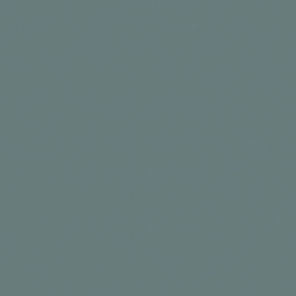Sealskin - Image 13