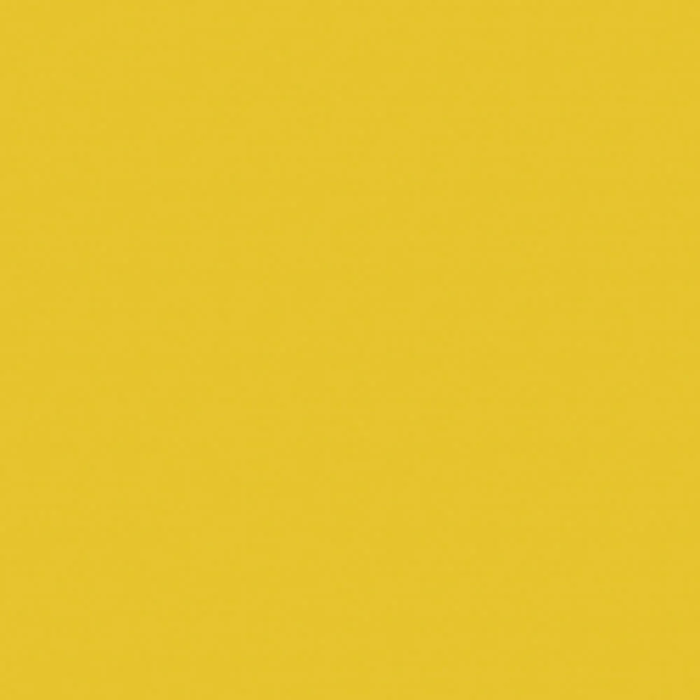 Sealskin - Image 3