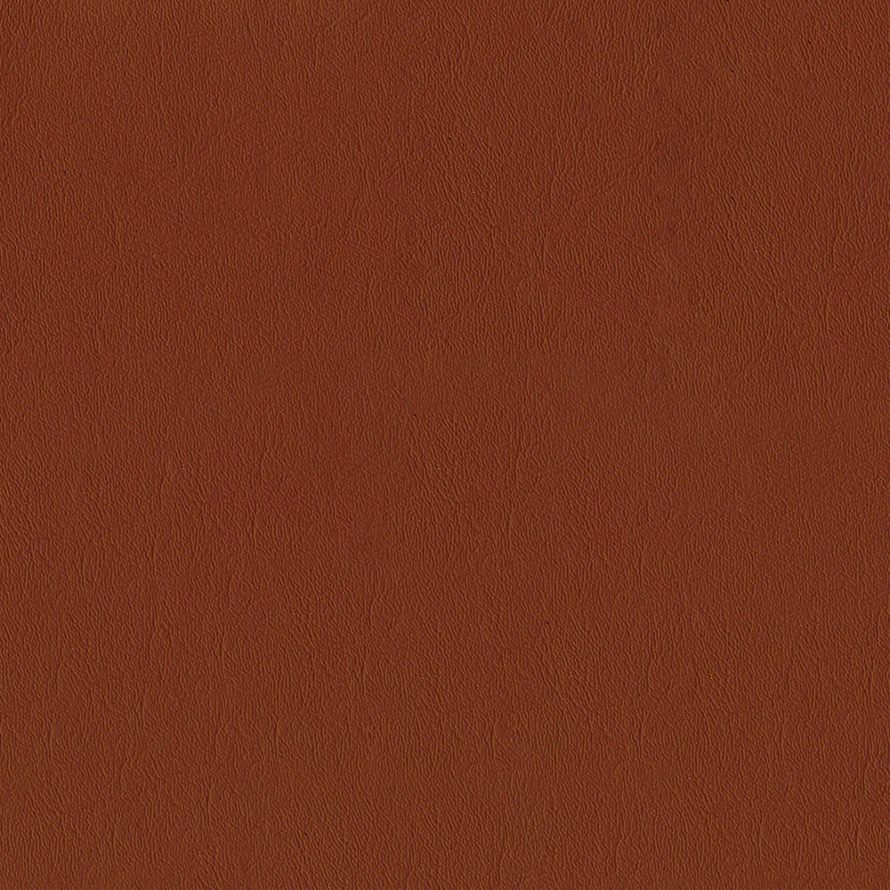 Sealskin - Image 45