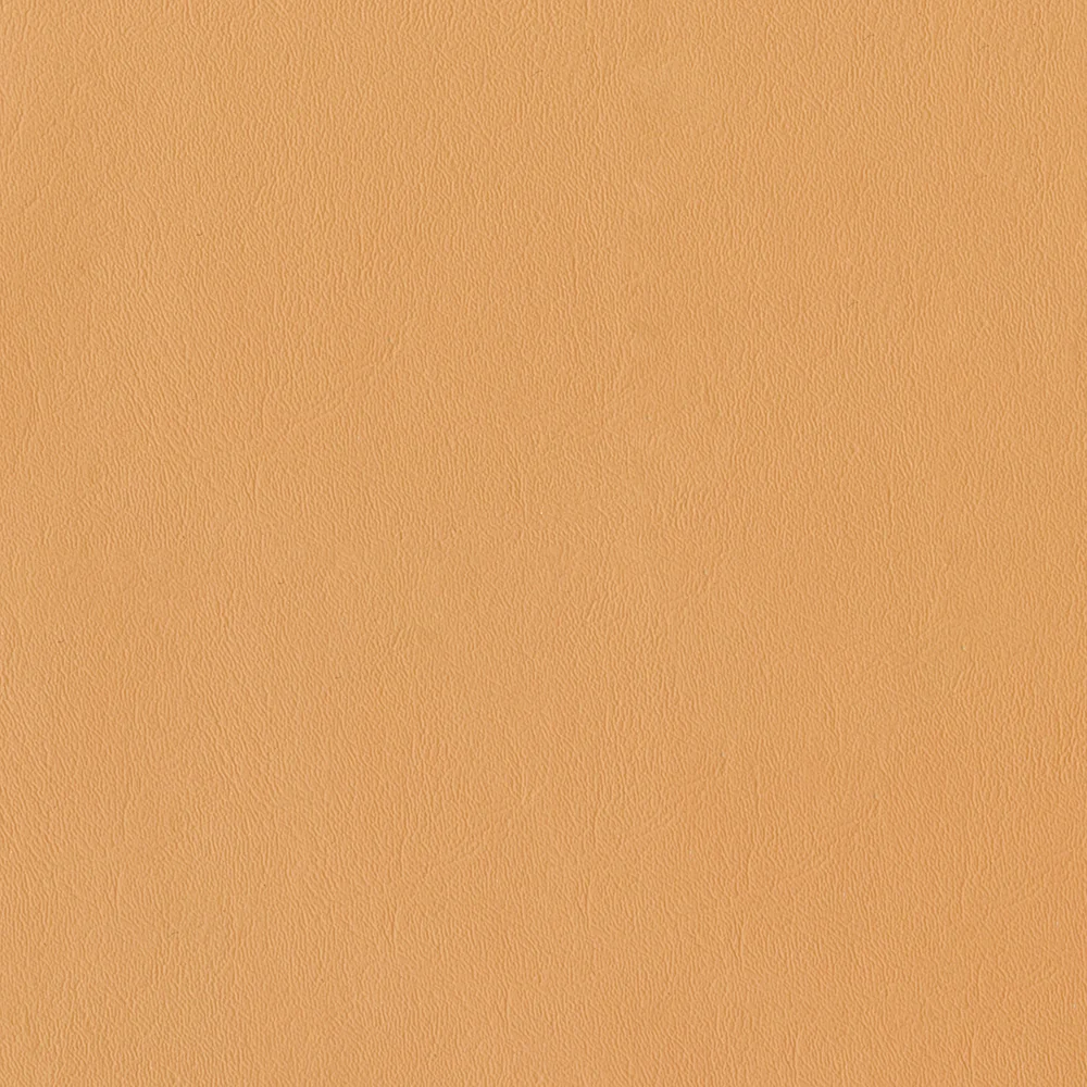 Sealskin - Image 47