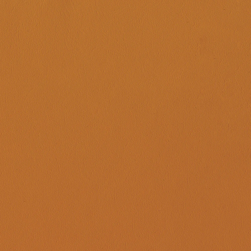 Sealskin - Image 49