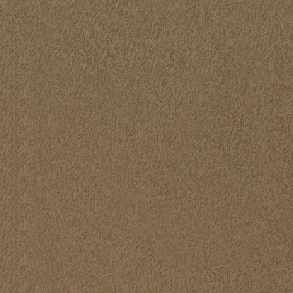 Sealskin - Image 61