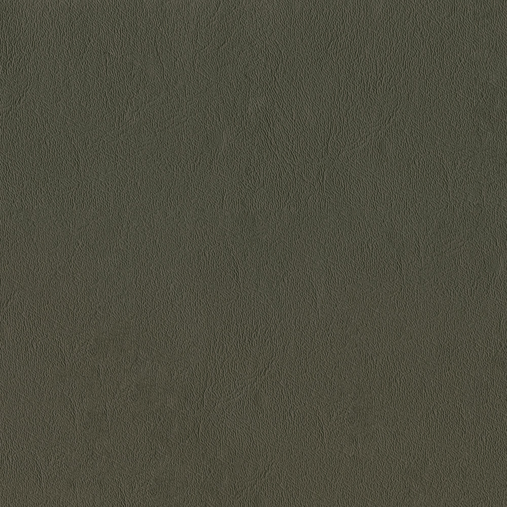 Sealskin - Image 67