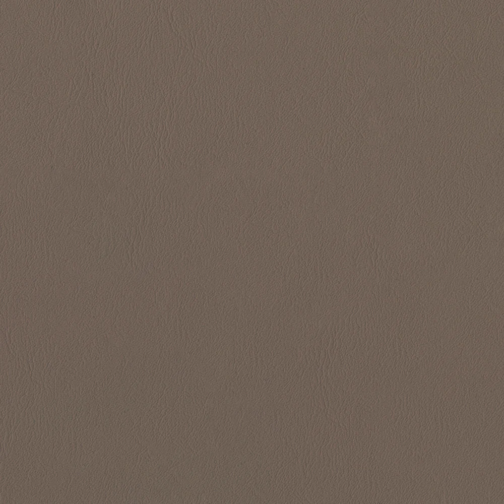 Sealskin - Image 69