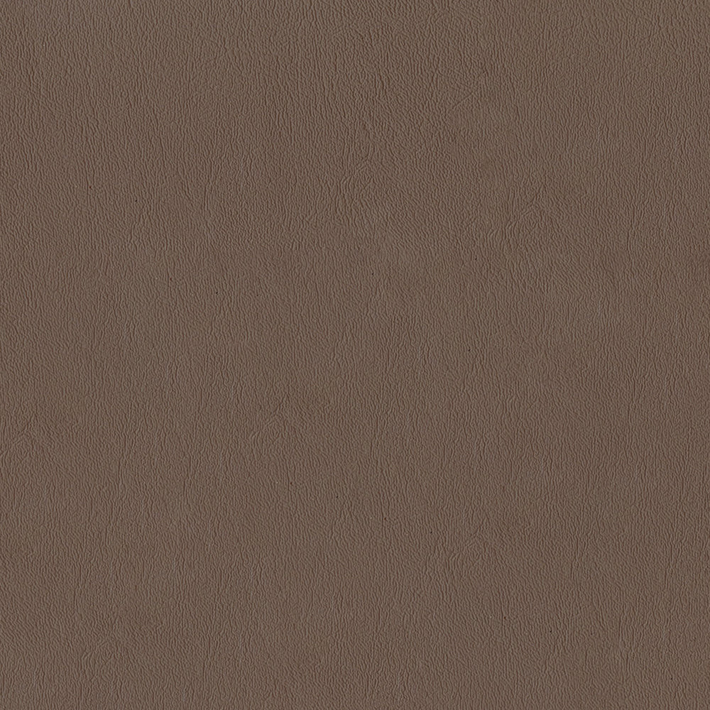 Sealskin - Image 73