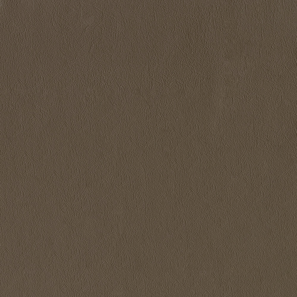 Sealskin - Image 77