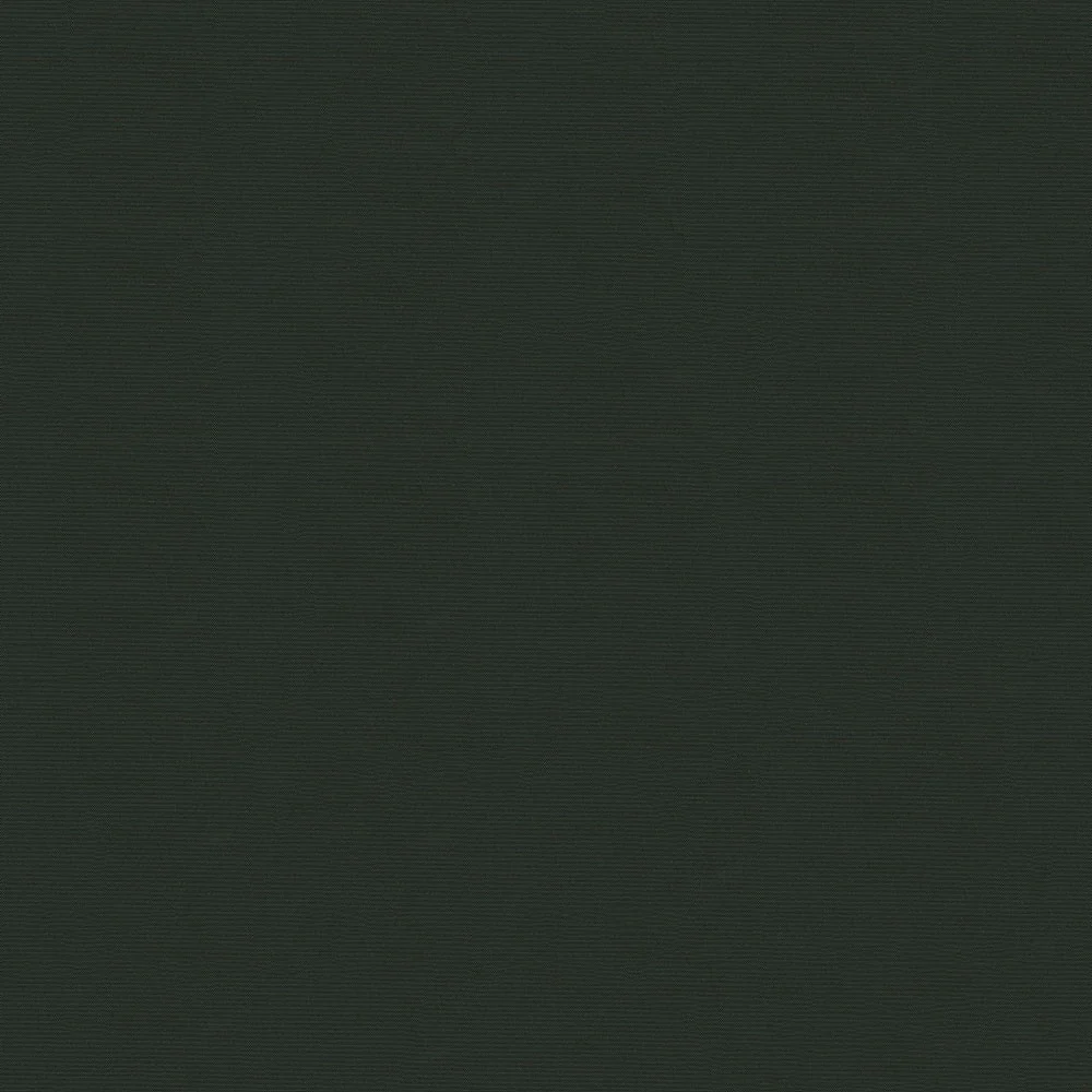 Sportlight - Image 7