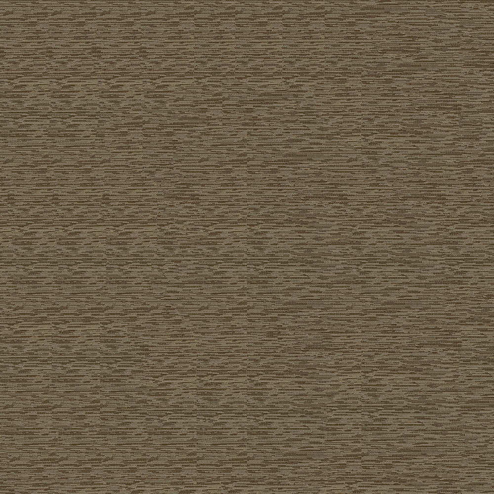 Starling - Image 3