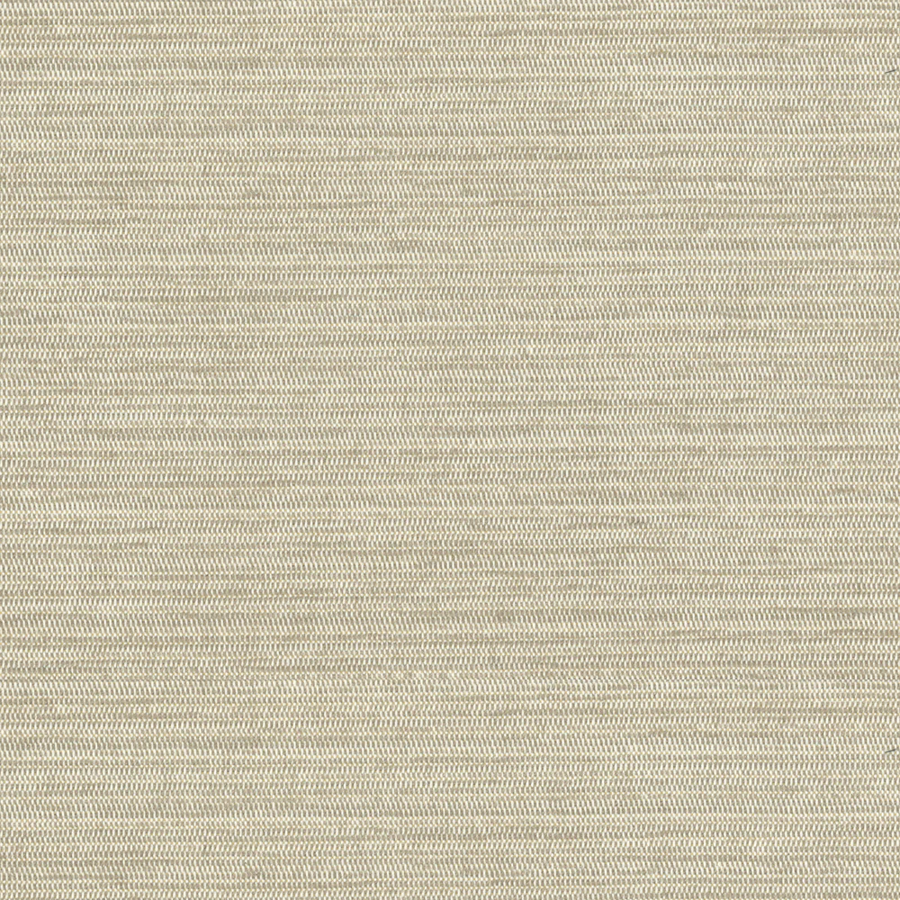 Sycamore - Image 11