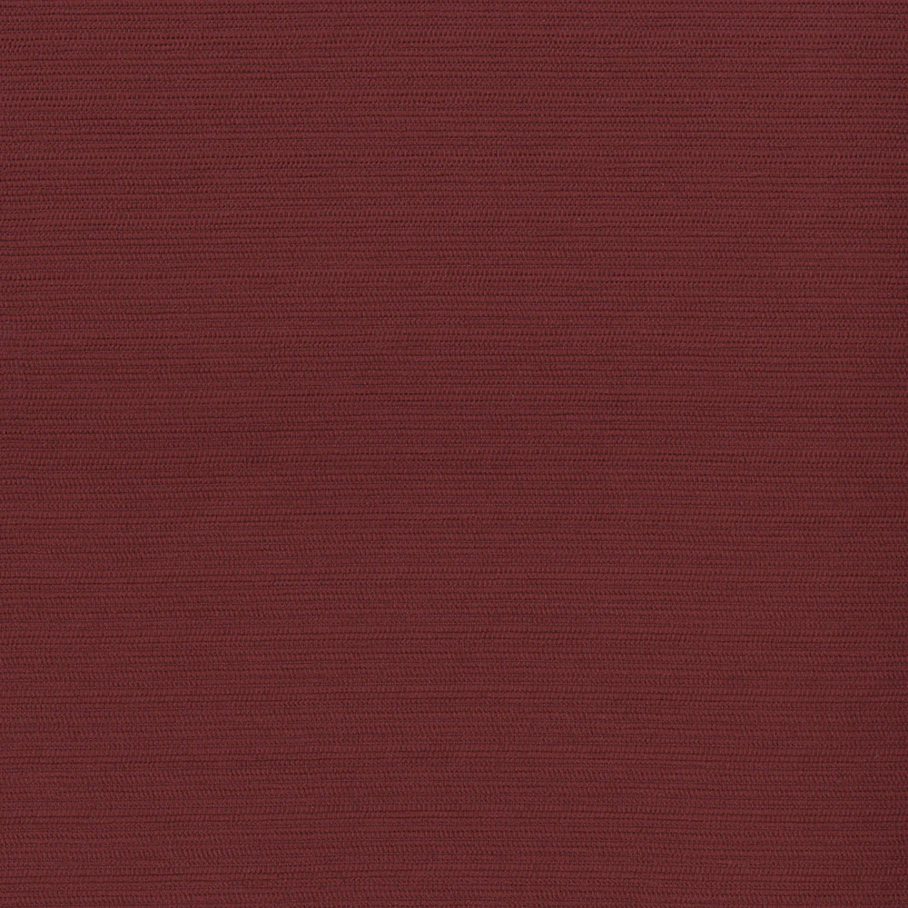 Sycamore - Image 9