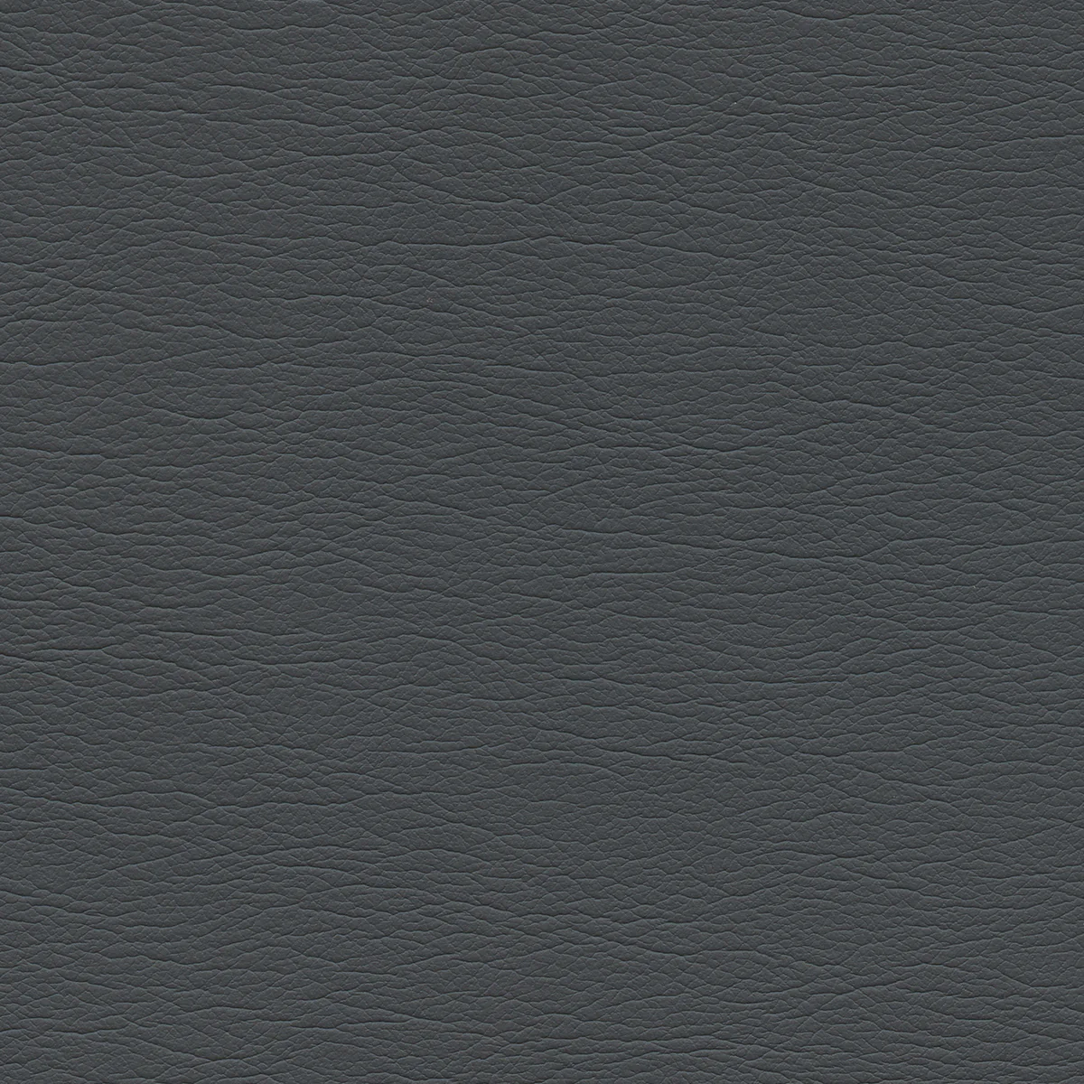 Ultraleather - Image 149