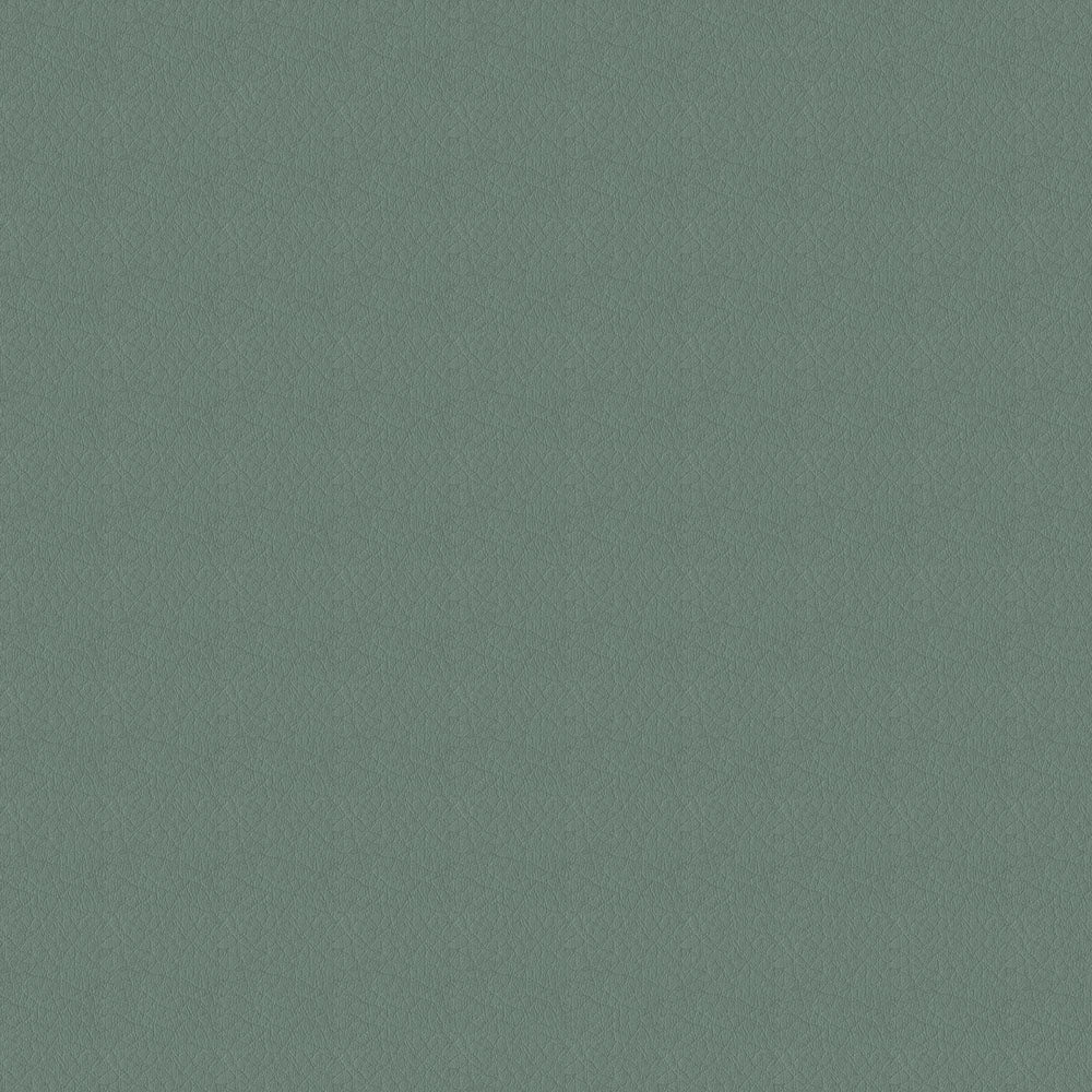 Whisper - Image 11